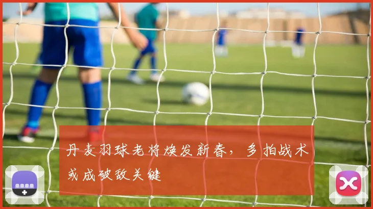 丹麦羽球老将焕发新春，多拍战术或成破敌关键