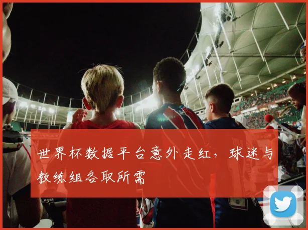 世界杯数据平台意外走红，球迷与教练组各取所需
