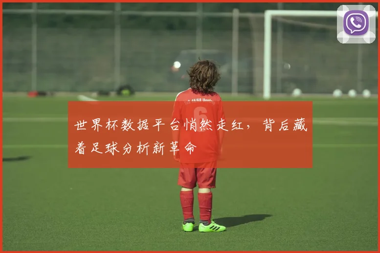 世界杯数据平台悄然走红，背后藏着足球分析新革命