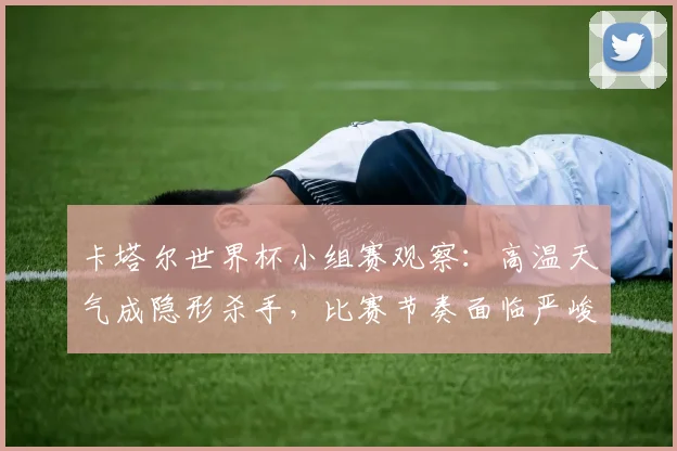 卡塔尔世界杯小组赛观察：高温天气成隐形杀手，比赛节奏面临严峻考验